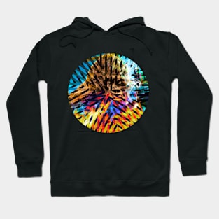 Harambe Rainbow Hoodie